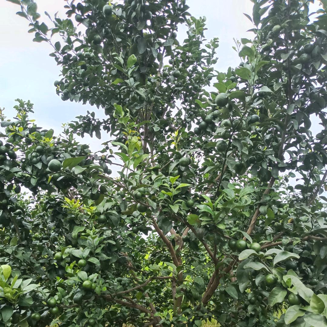 努力奋斗，永远过得最好