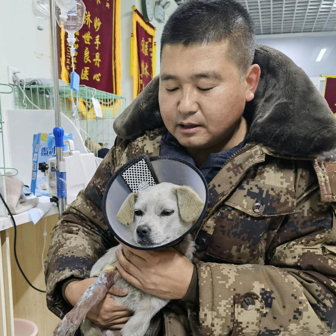 王二和他的流浪猫狗