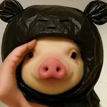 小柒✨　　　　　　　　　🪳