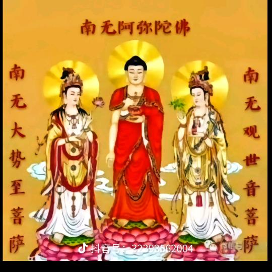 禅意生香