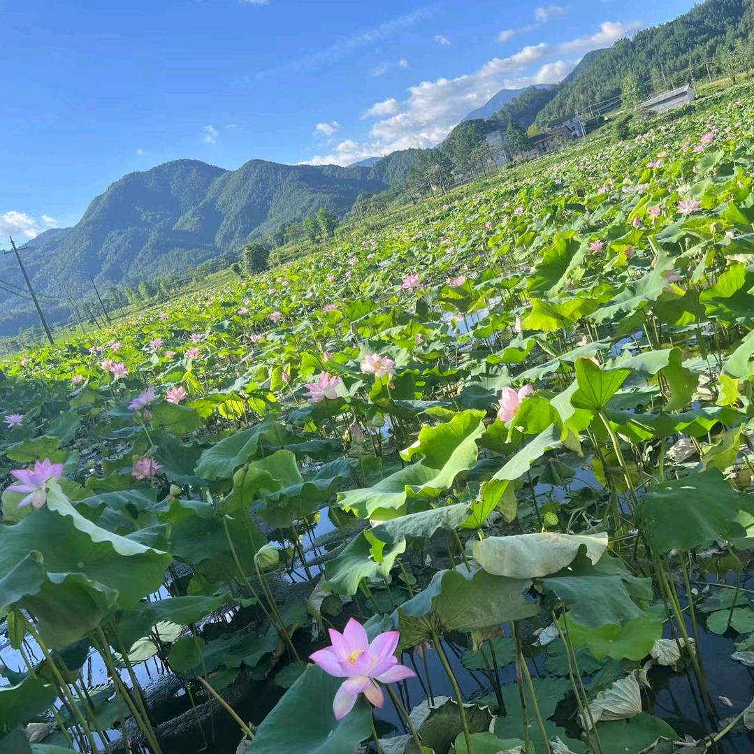 小灵儿