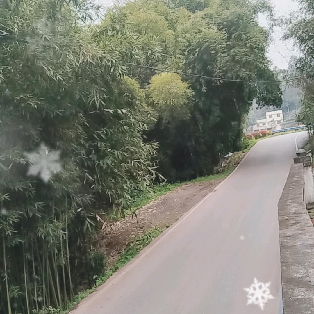 乐山货车
