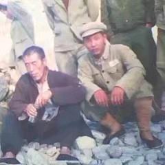 常命百岁陈默是金