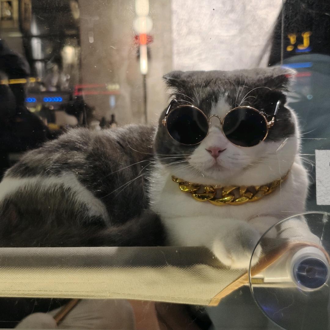 璐总