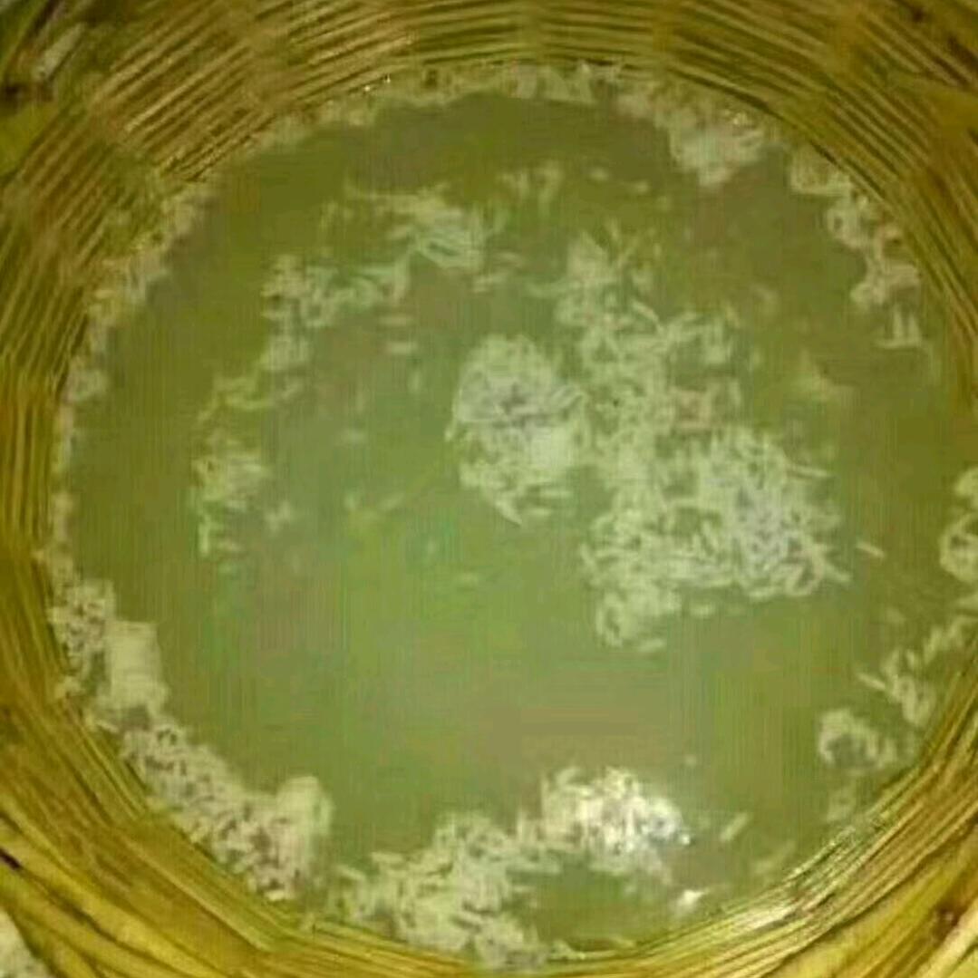 房县黄酒