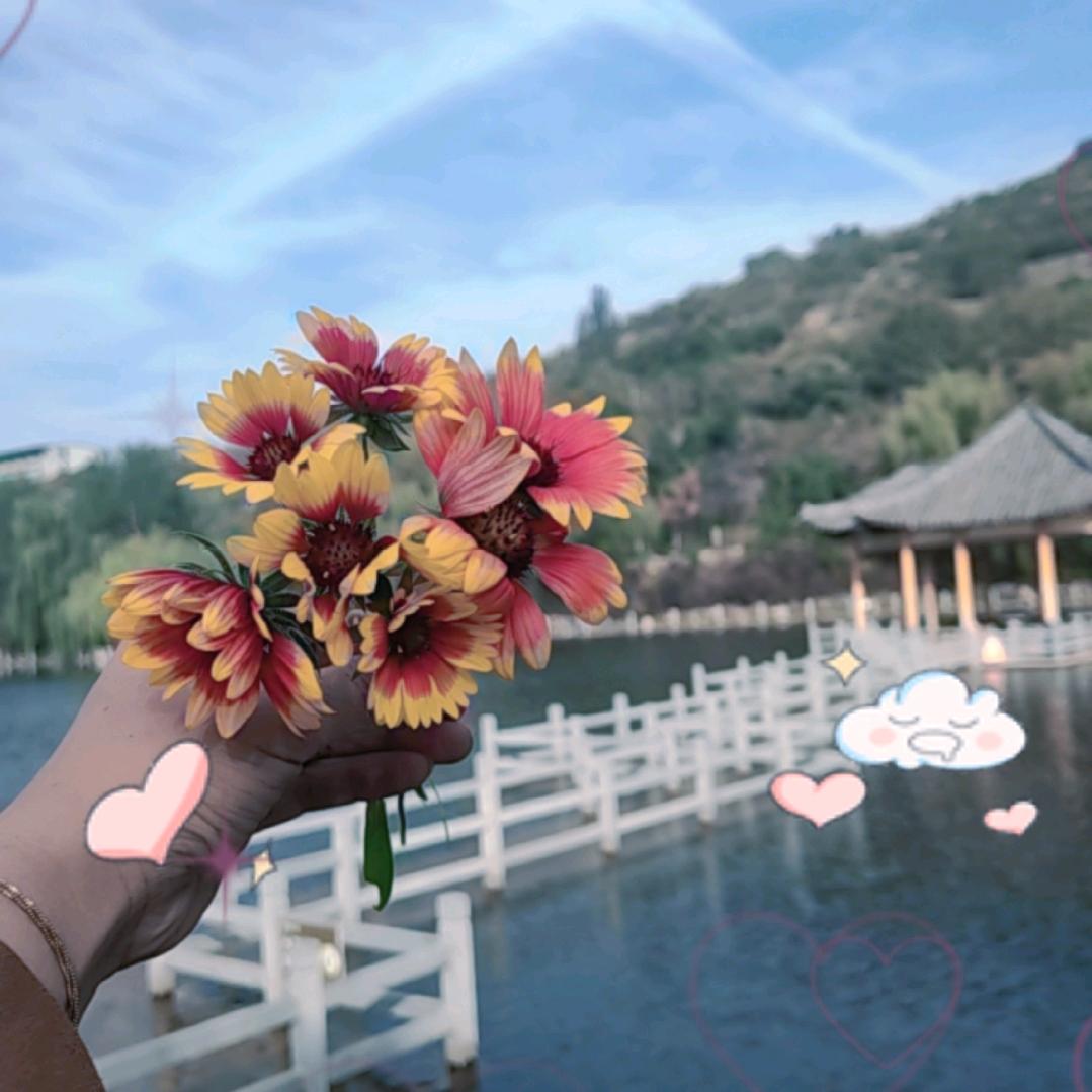 💅ꦿᰰᰮ柿柿🥀⃟如意