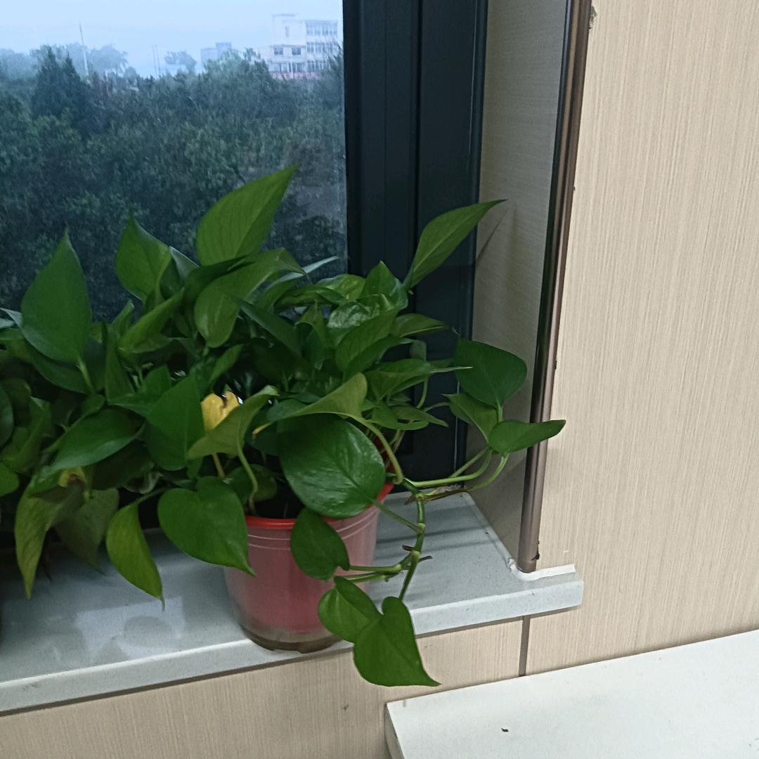 忙忙碌碌又一天