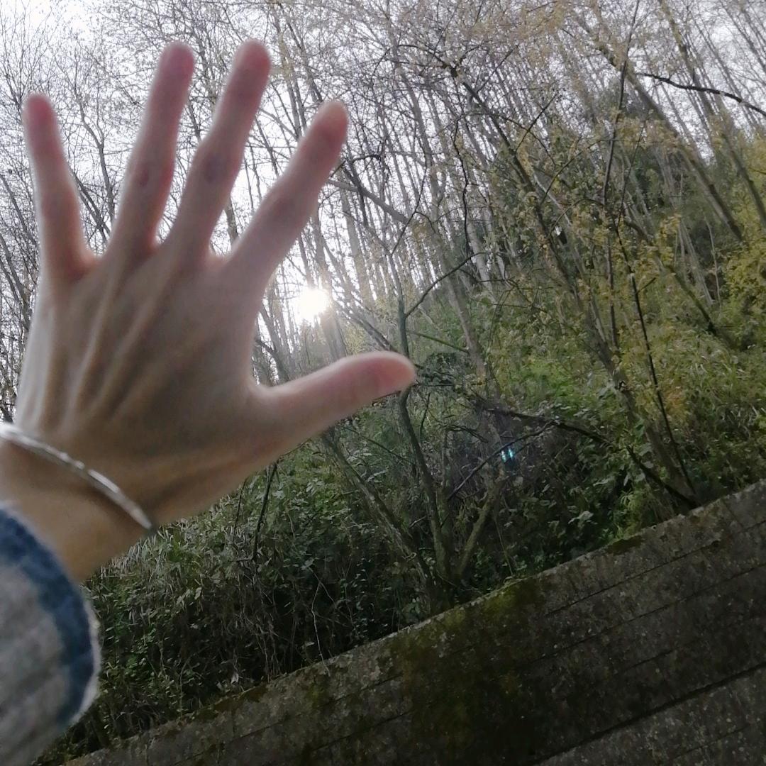 🌸༄࿆昔年༬༘࿐