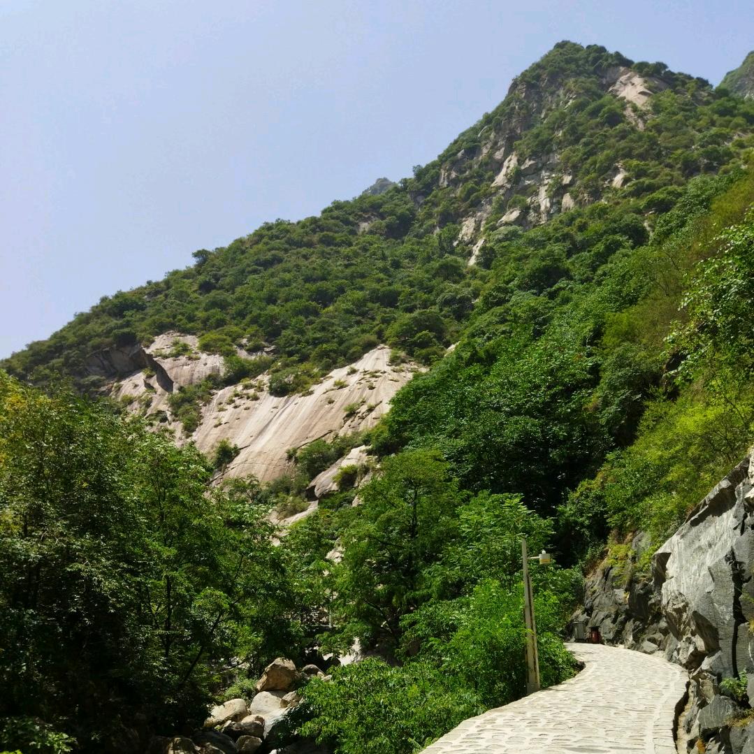 小怡宝
