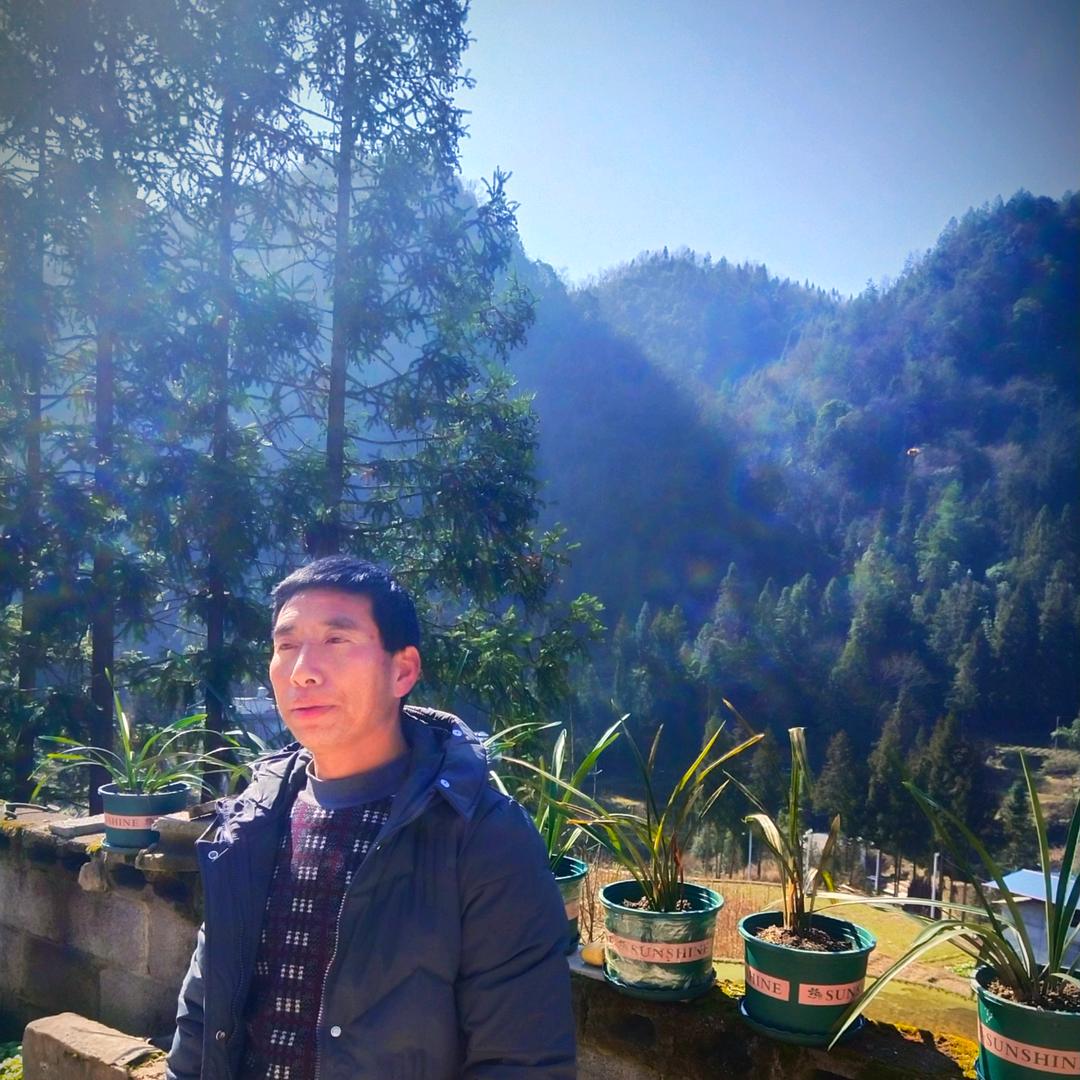 用户9540845731331衣食无愁。