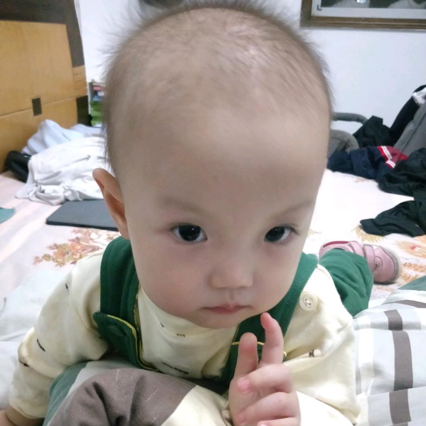 春暖花开  🎀头像