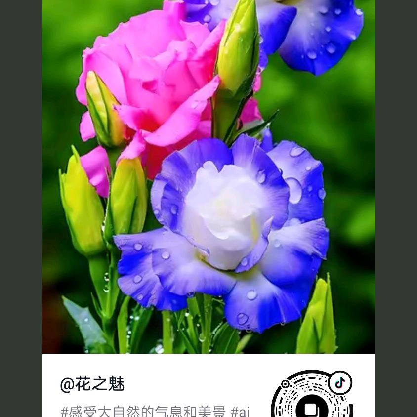 华宜居士