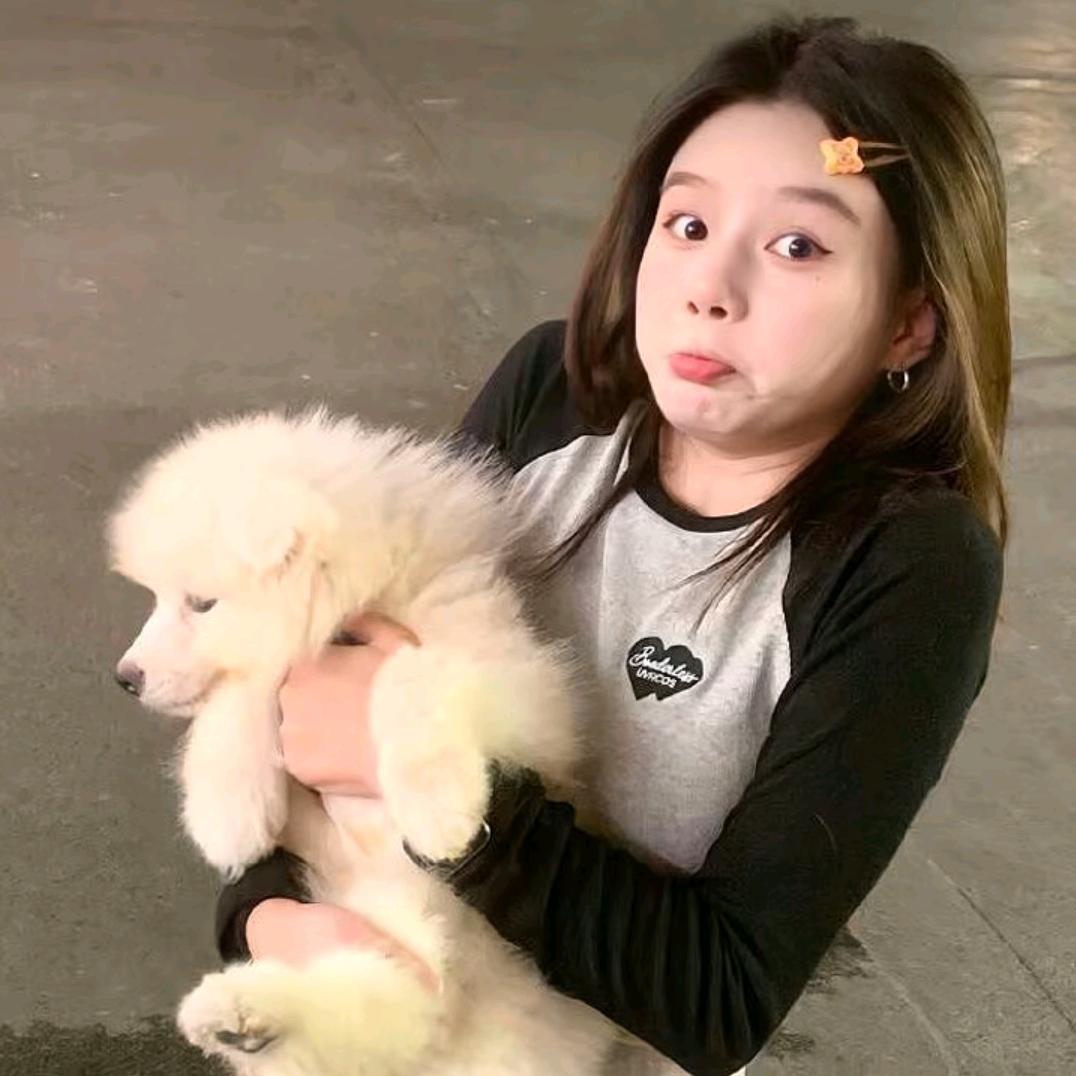 发呆呆的羊