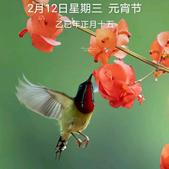 好好享受后半生