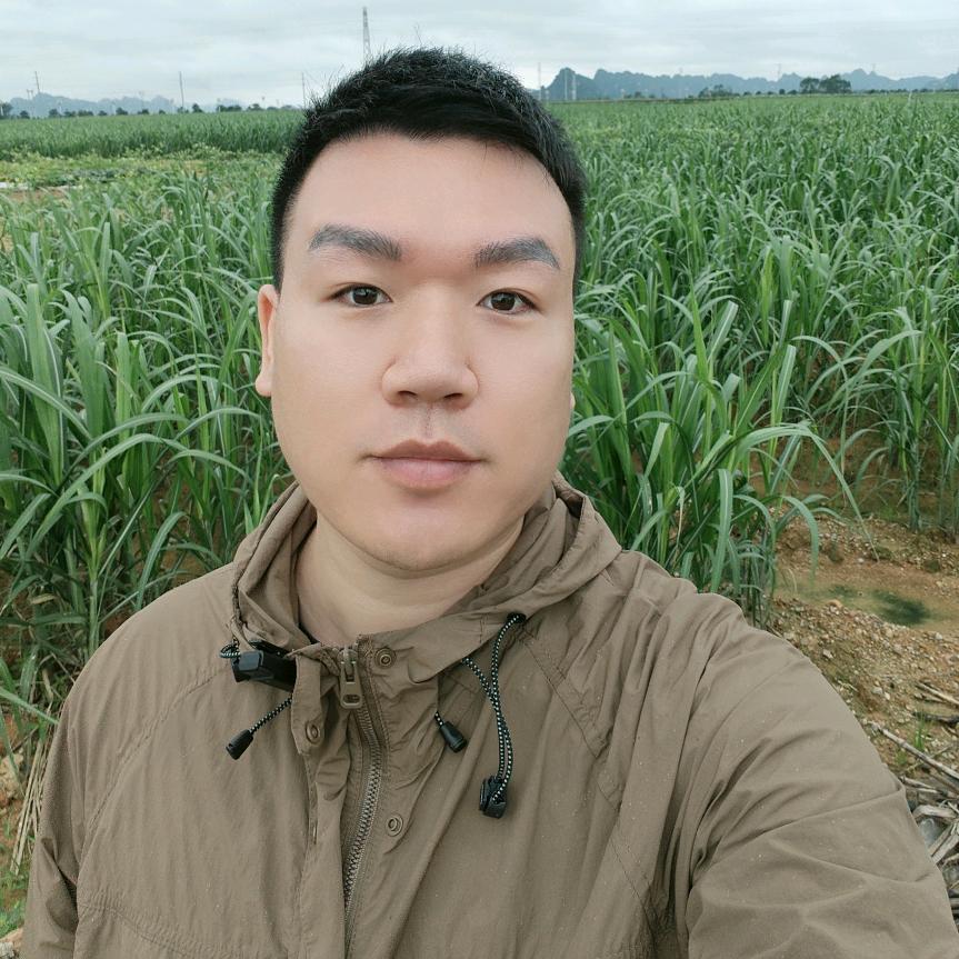 表哥说甘蔗