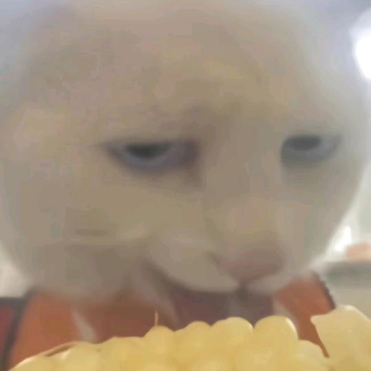 江上清风（减肥版）