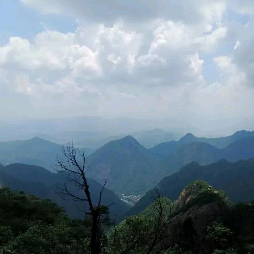 银嘉🌈