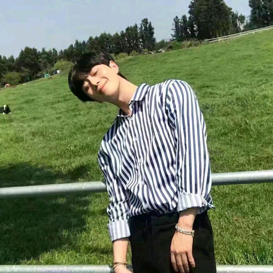 有一天和你相遇