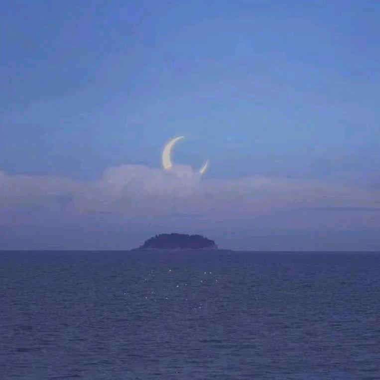 兔子不爱吃萝卜