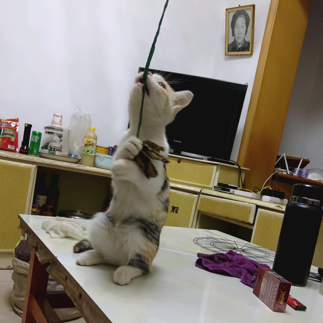 老李刚
