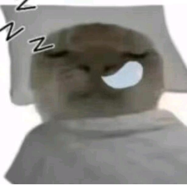 指对同构