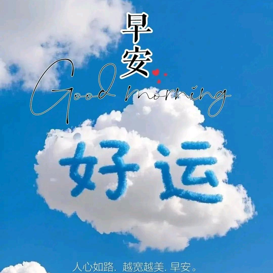 落花流水无情无义