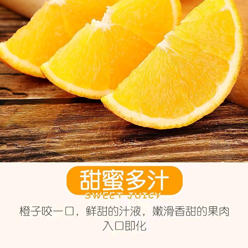 ₍˄·͈༝·͈˄*₎◞ ̑̑随缘^O^^
