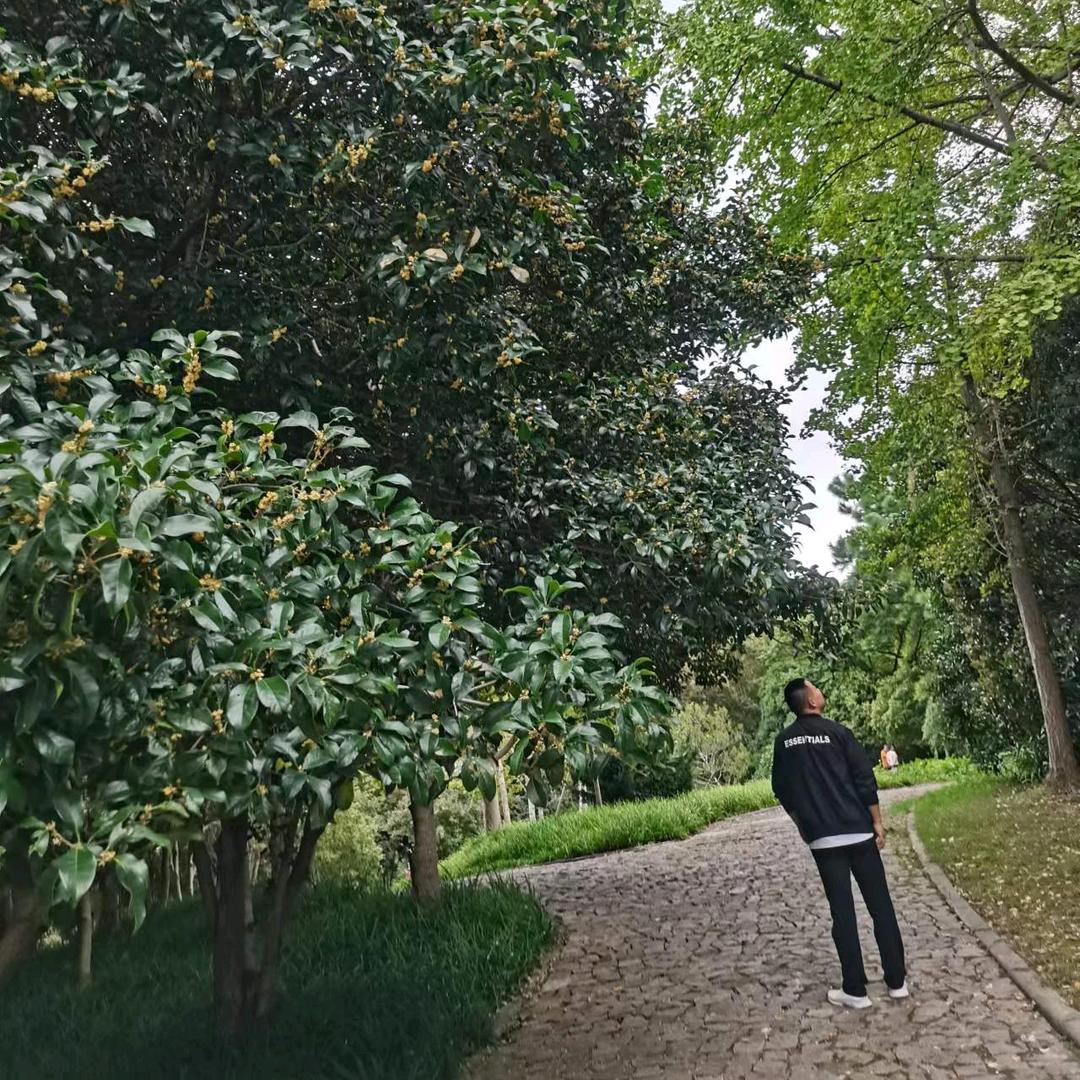 茶飘香，酒罢去，聚朋友，再回楼