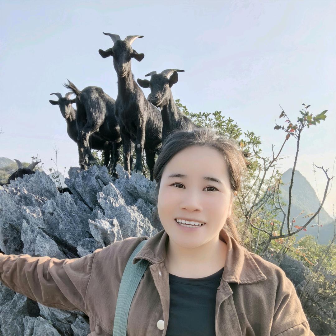 马山黑山羊（羊妹）
