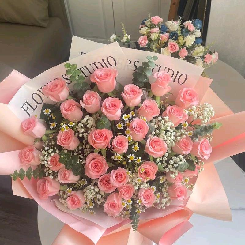 仁怀二妹