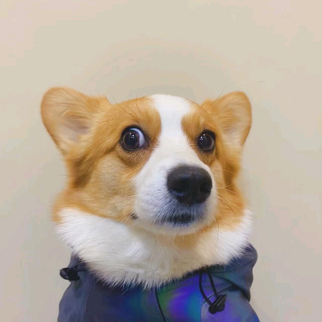 深圳市瀚啡贸易有限公司直播8号