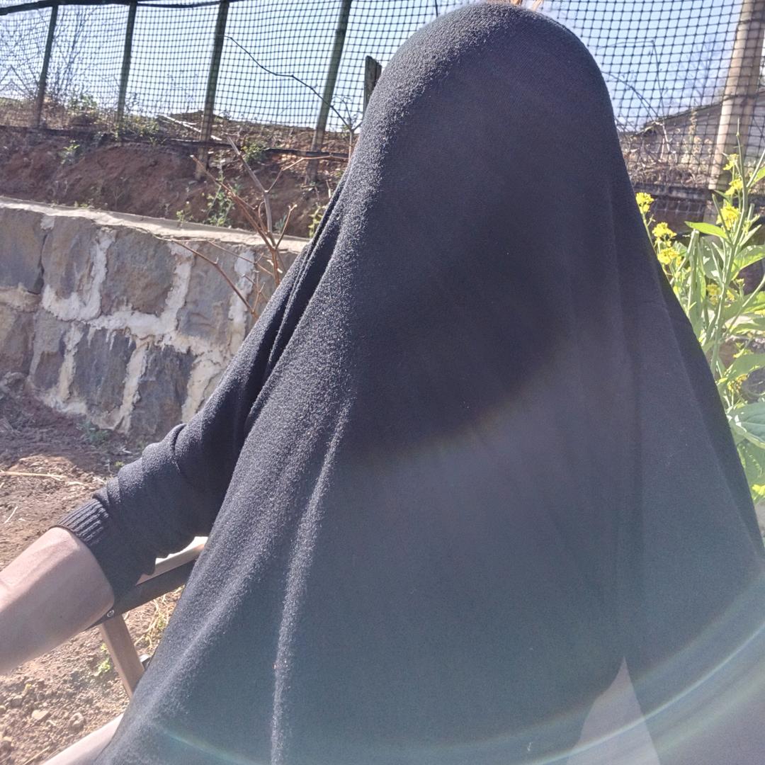 李先生的朋友圈