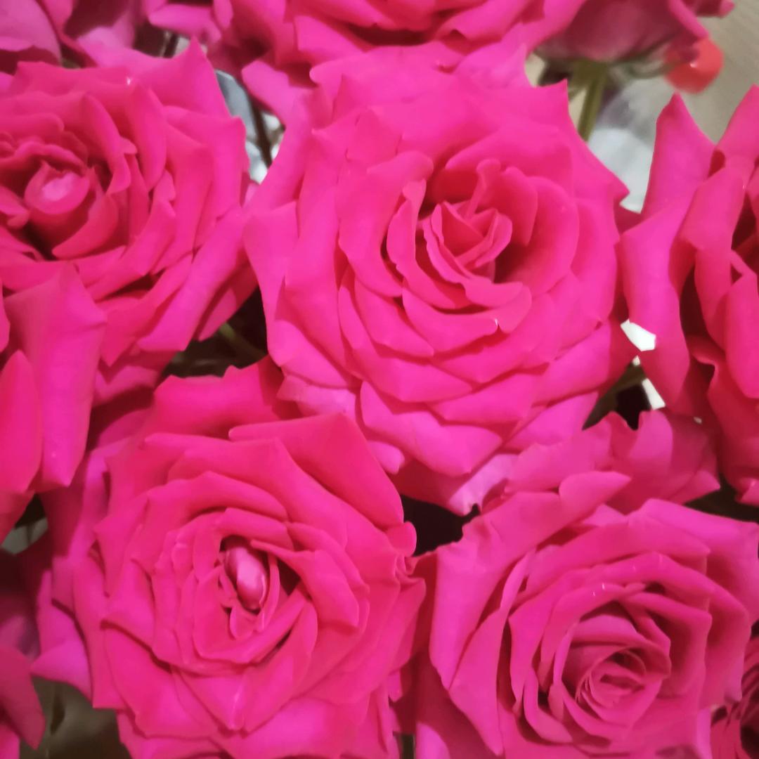 余生开心过好每一天