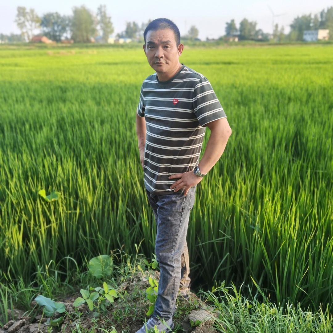 廊坊市金顺回收公司，吴国成