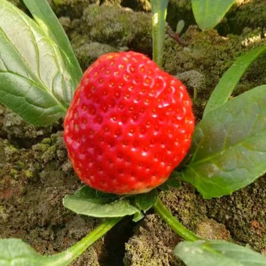 有你真好👌🏻，