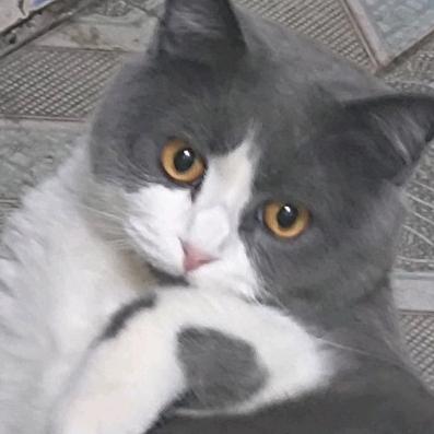 阿辉～