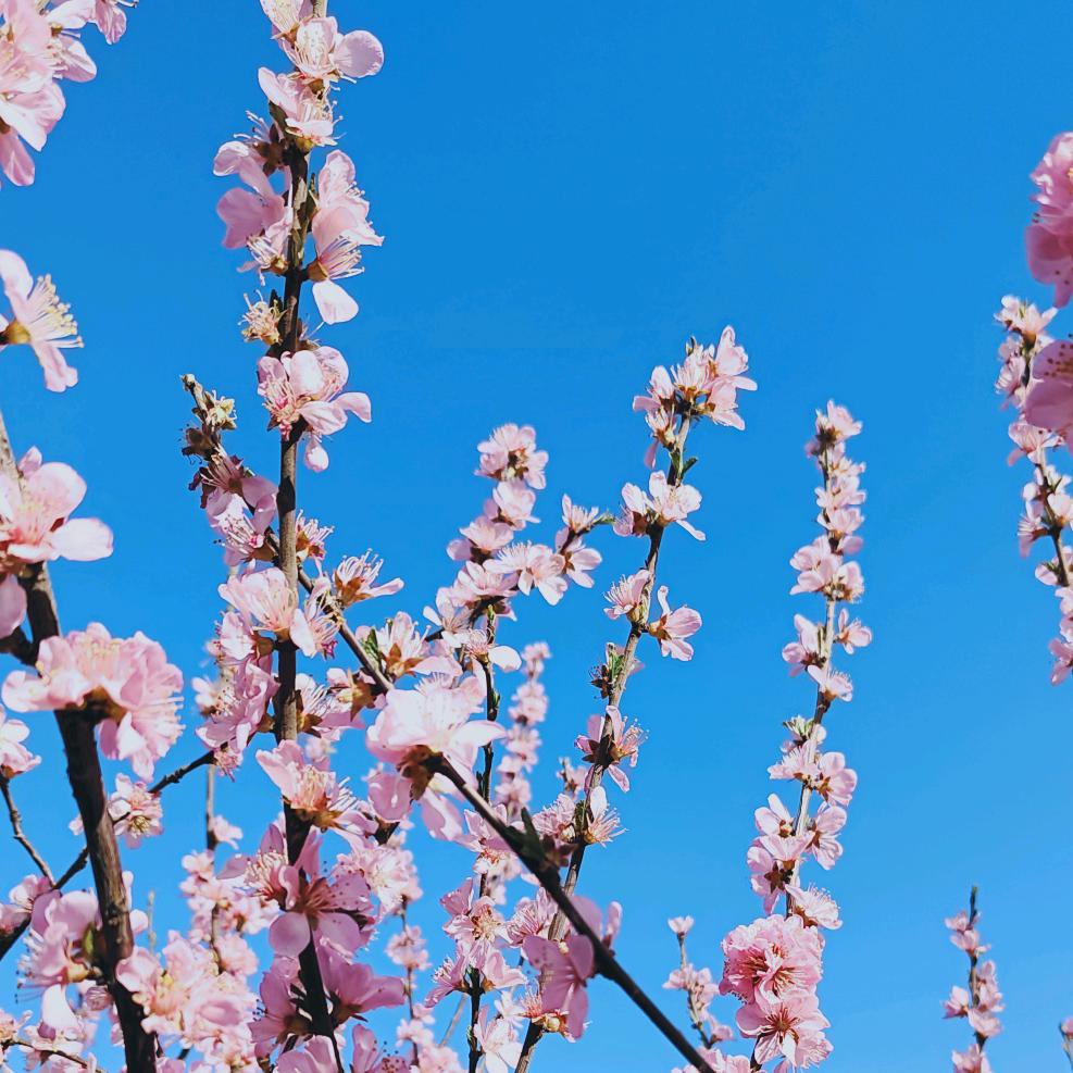 清风徐～来
