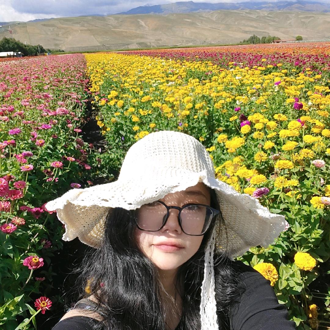摸鱼的麻薯球