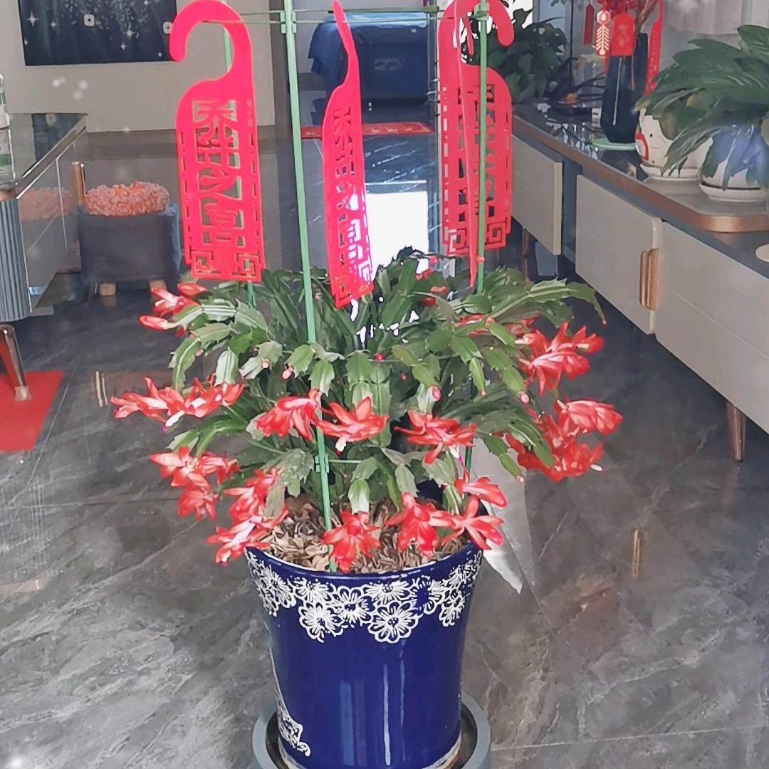 曾经，也衹是曾经