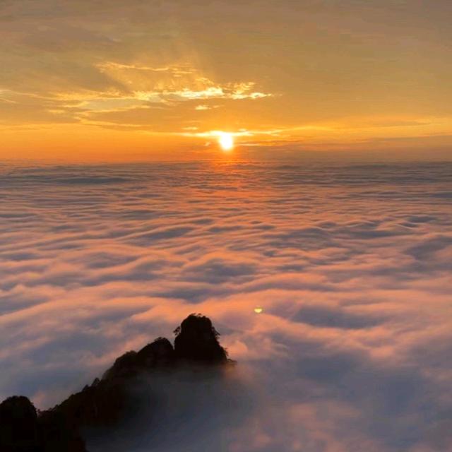 落花人独立，微雨燕双飞。