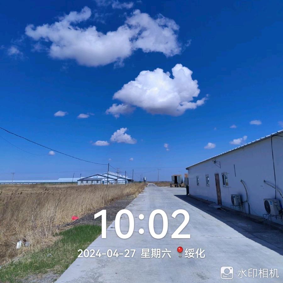 明天会更好