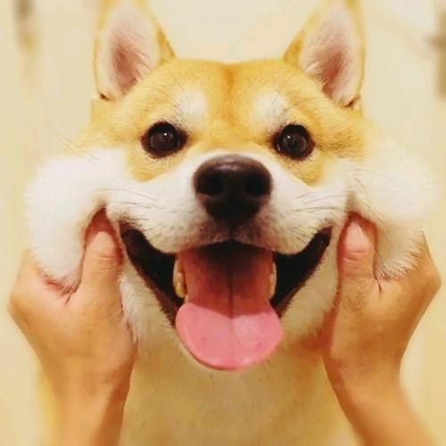 柒熠