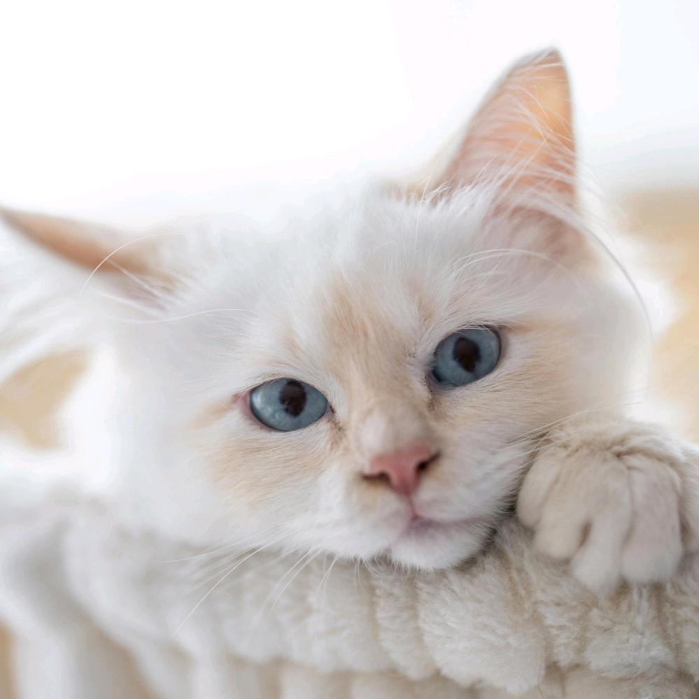 一日三餐饿十顿