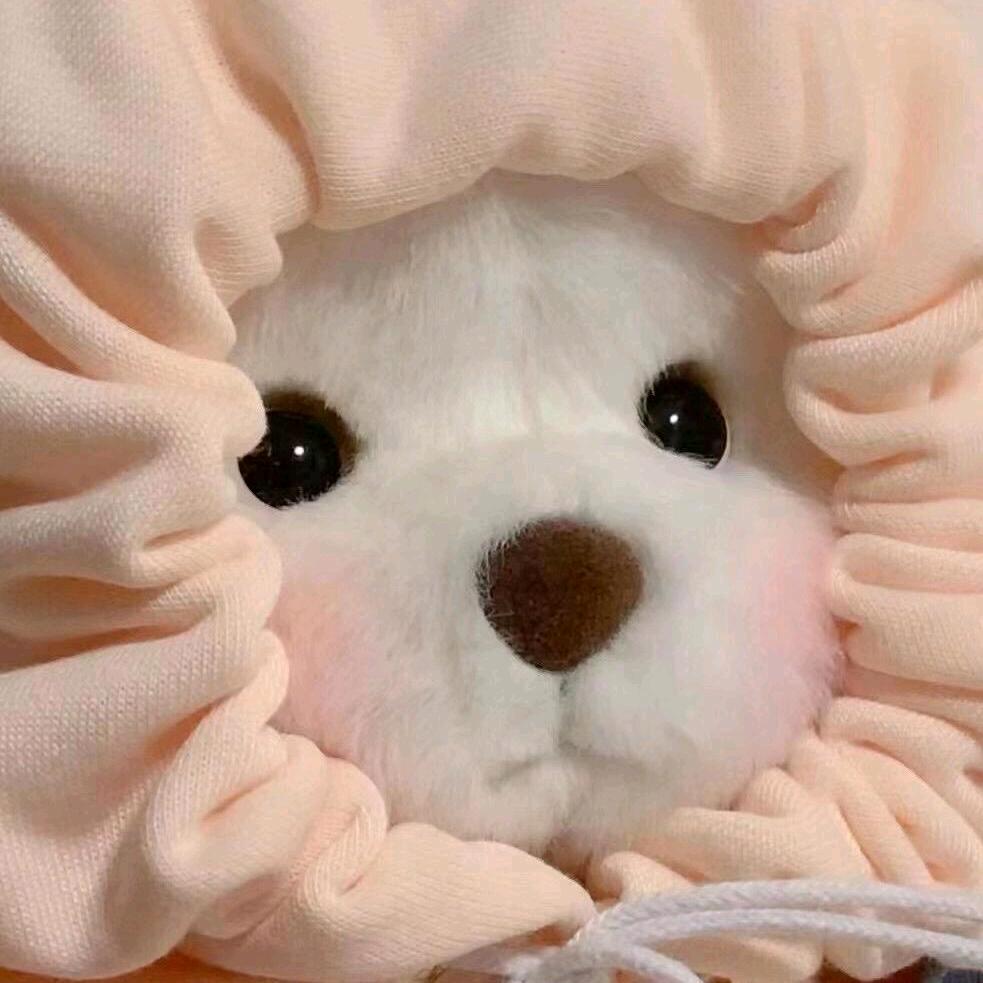 九营十八组仙子狗尾巴花