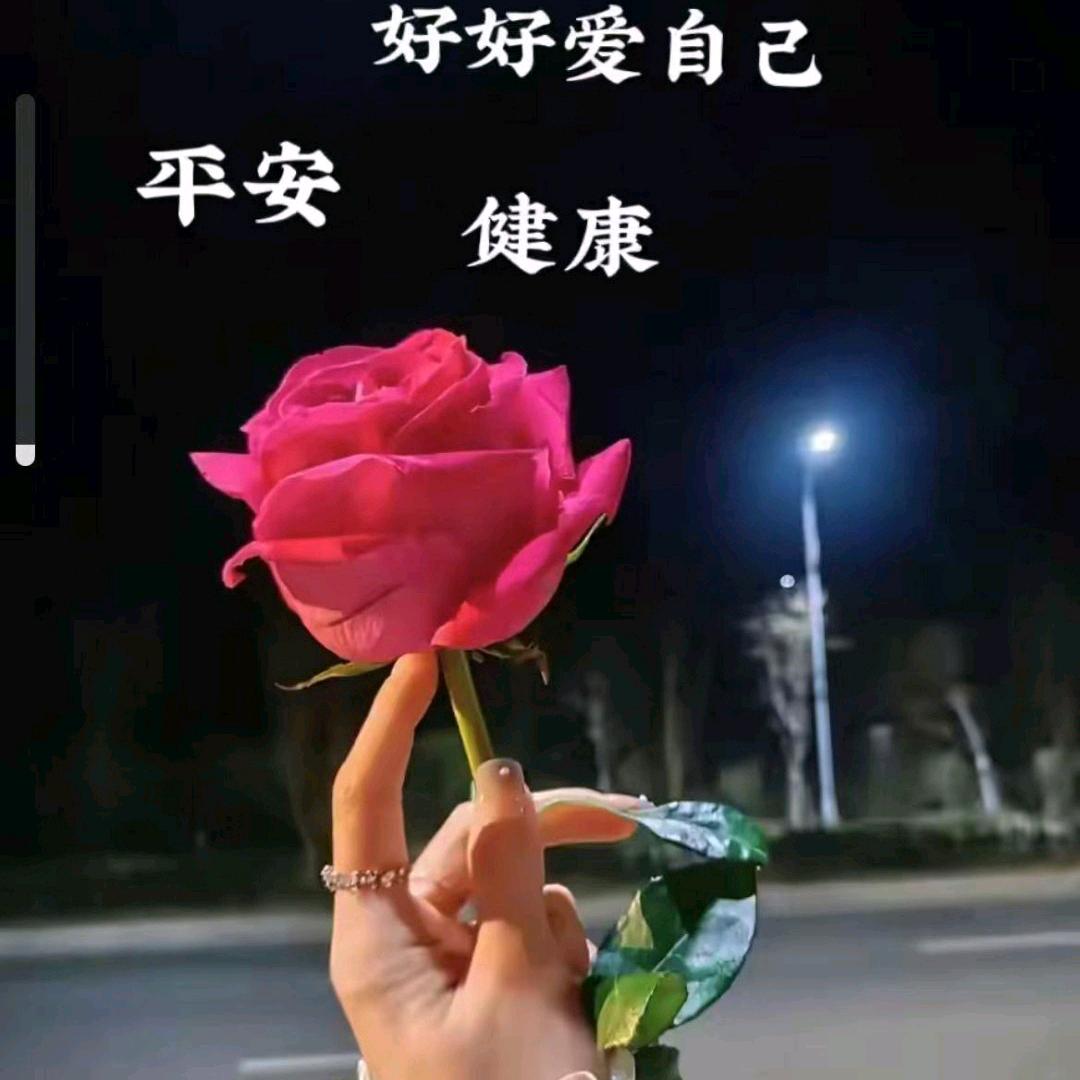阿妮妮327