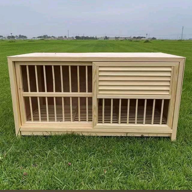 鸽具大全