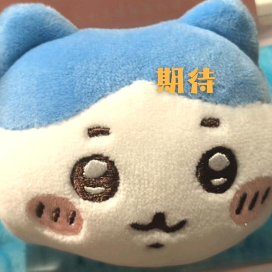 小懿懿懿懿懿懿