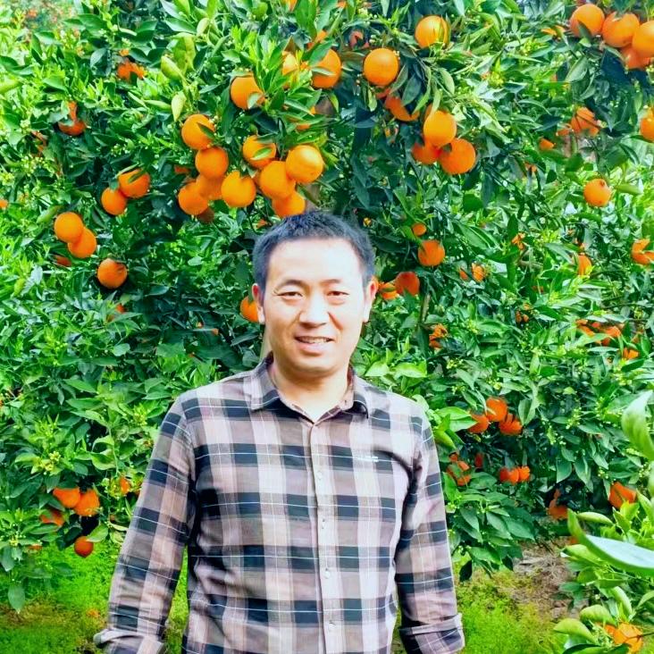 水果哥哥🍓高兵