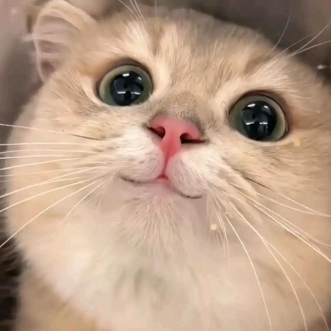 冻死宝宝