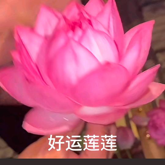 讨厌黑眼圈